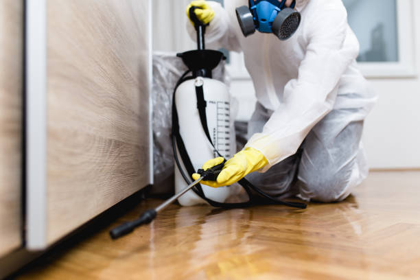 Best Pest Control for Homes  in Mino, CA