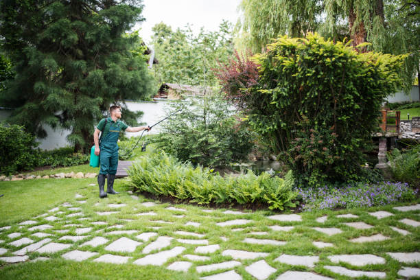 Best Best Pest Control Companies  in Mino, CA