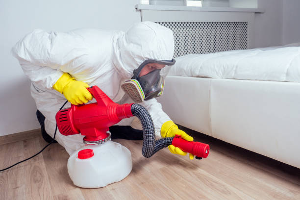 Best Flea Control Services  in Mino, CA