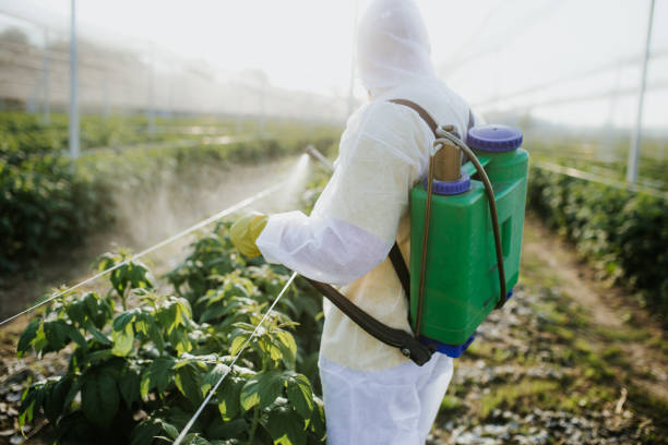 Best Commercial Pest Control Services  in Mino, CA